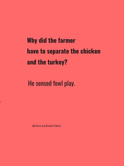 turkey jokes