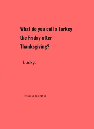 turkey jokes thanksgiving
