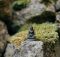80 Zen Quotes And Sayings To Calm Your Mind