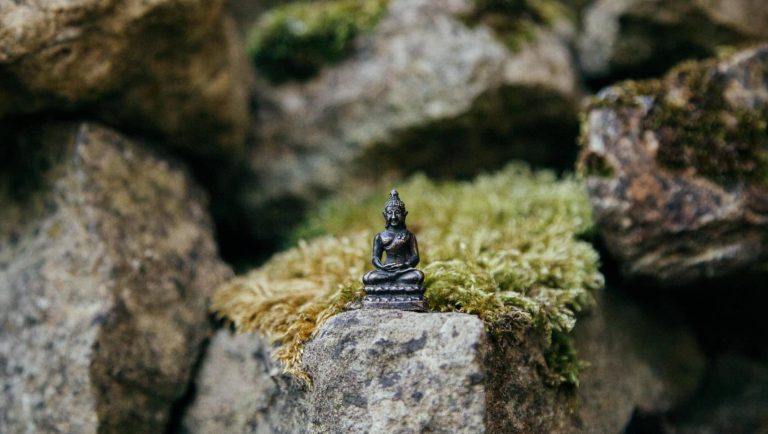 80 Zen Quotes And Sayings To Calm Your Mind