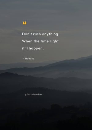 Best Zen Quotes