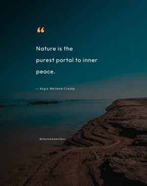 Inner Peace of Mind Quotes