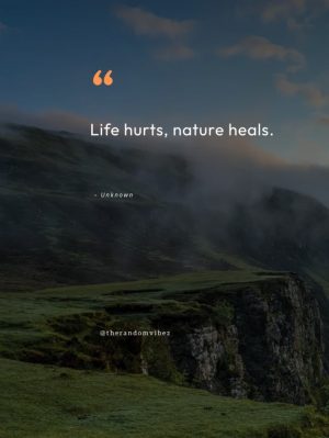 Quotes On The Healing Power Of Nature