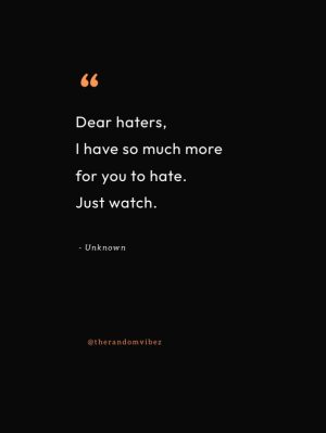 best savage quotes for haters