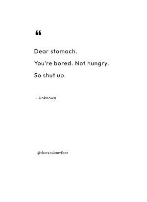 funny dieting quotes