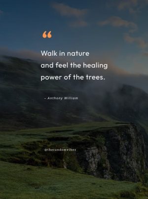 nature healing quotes