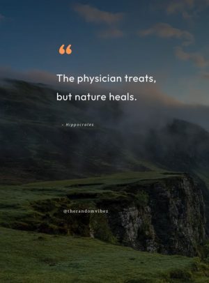 nature heals everything quotes
