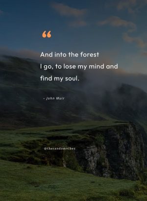 nature heals quotes