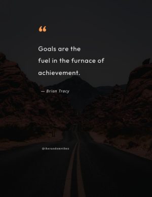 quotes about goals in life