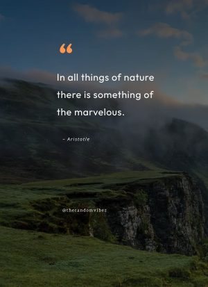 quotes about natural healing