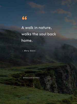 quotes about nature healing