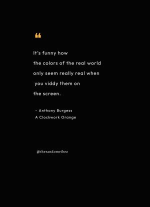 quotes clockwork orange