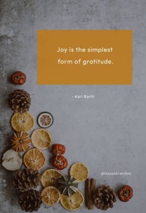 short thanksgiving quotes