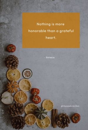 short thanksgiving quotes images