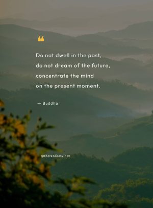 zen sayings