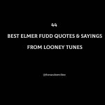 44 Best Elmer Fudd Quotes & Sayings From Looney Tunes