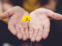 95 Giving Back Quotes On Community, Society And Charity