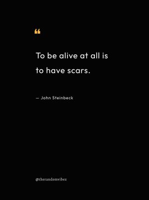 John Steinbeck Quotes From The Winter of Our Discontent