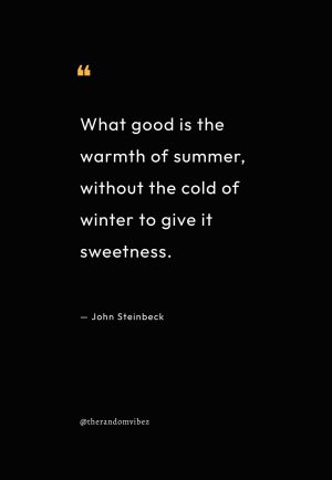 One Meaningful Quote From John Steinbeck