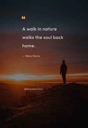 Walk Quotes