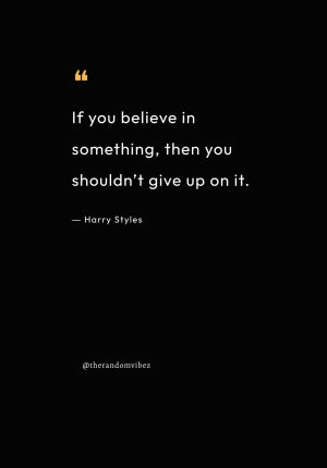 harry styles quotes success