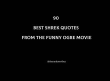 90 Best Shrek Quotes From The Funny Ogre Movie