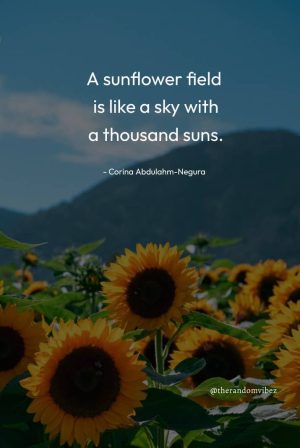 Inspiring Sunflower Quotes