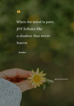Joy Quotes Images