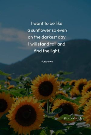 Motivational Sunflower Quotes