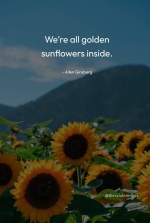 Positive Good Morning Sunflower Quotes