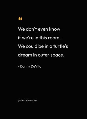 Quotes From Danny DeVito
