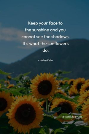 Sunflower Quotes Short