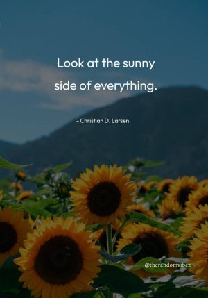 Sunshine Quotes Wallpaper