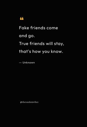 fake friends come and go quotes