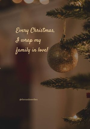 family christmas quotes