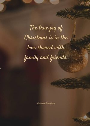 merry christmas family quotes