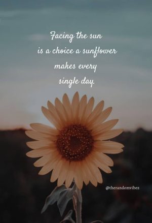 positive sunflower quotes