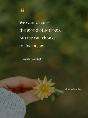 quotes on joy