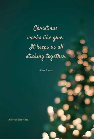 short christmas quotes funny