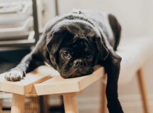 90 Bored Quotes To Beat Boredom In Life