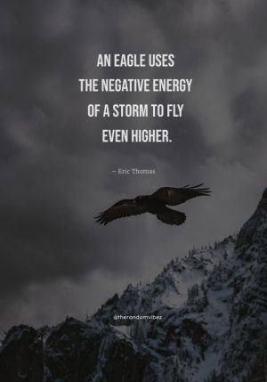attitude eagle quotes success