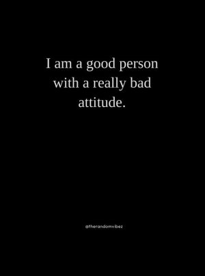 bad attitude ego quotes