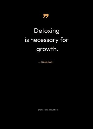 detoxification quotes