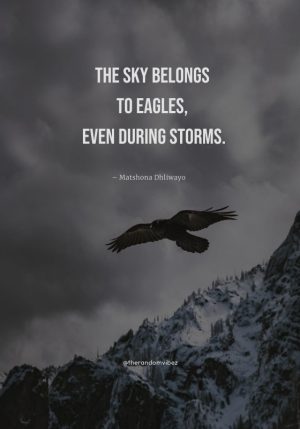 eagle quotes