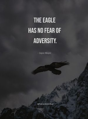 eagle quotes images