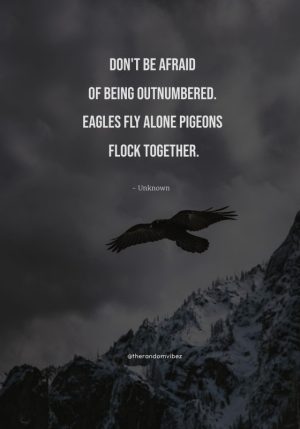 eagle sayings