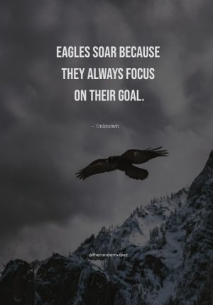 fearless quotes on eagle
