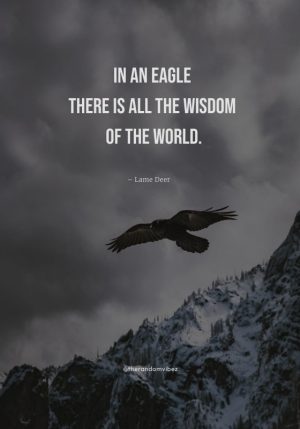 inspiring eagle quotes
