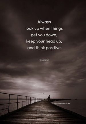 keep looking up quotes