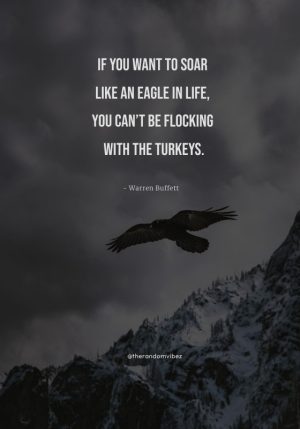 quotes about eagles soaring